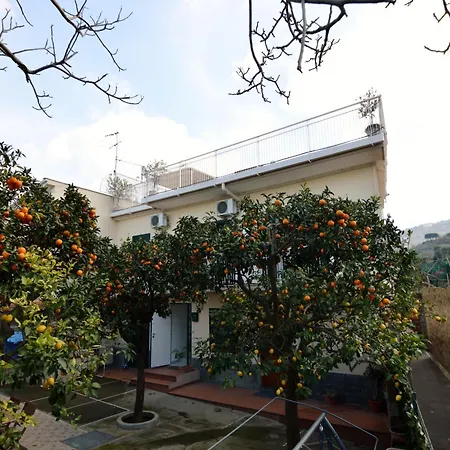 La Terrazza Family Holidays - Sorrento Coast * Sant'Agnello